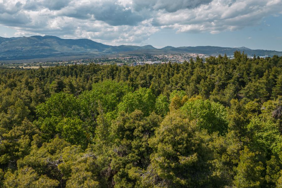 View_ Life Gallery Athens Hotel